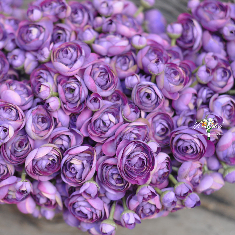 One bundle royal purple artificial silk rose/mini ranunculus/6stems individual stems silk ranunculus buds/best for home decoction and wedding designing
