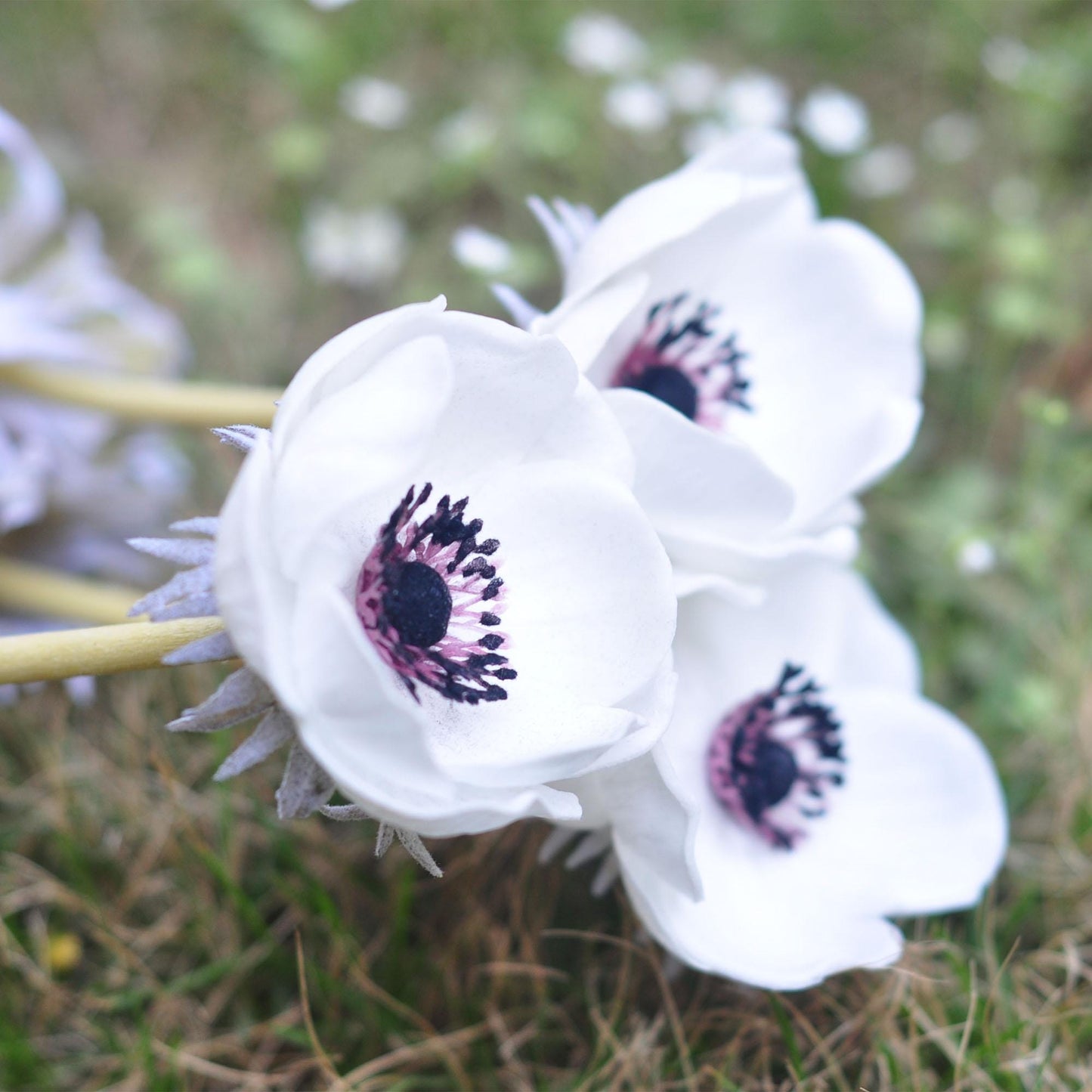 White Anemones,Real Touch White Anemones,Navy Blue Anemones,Anemones Bouquet,Faux Anemones DIY Flowers Gift For Wedding Bouquet,Home Decor