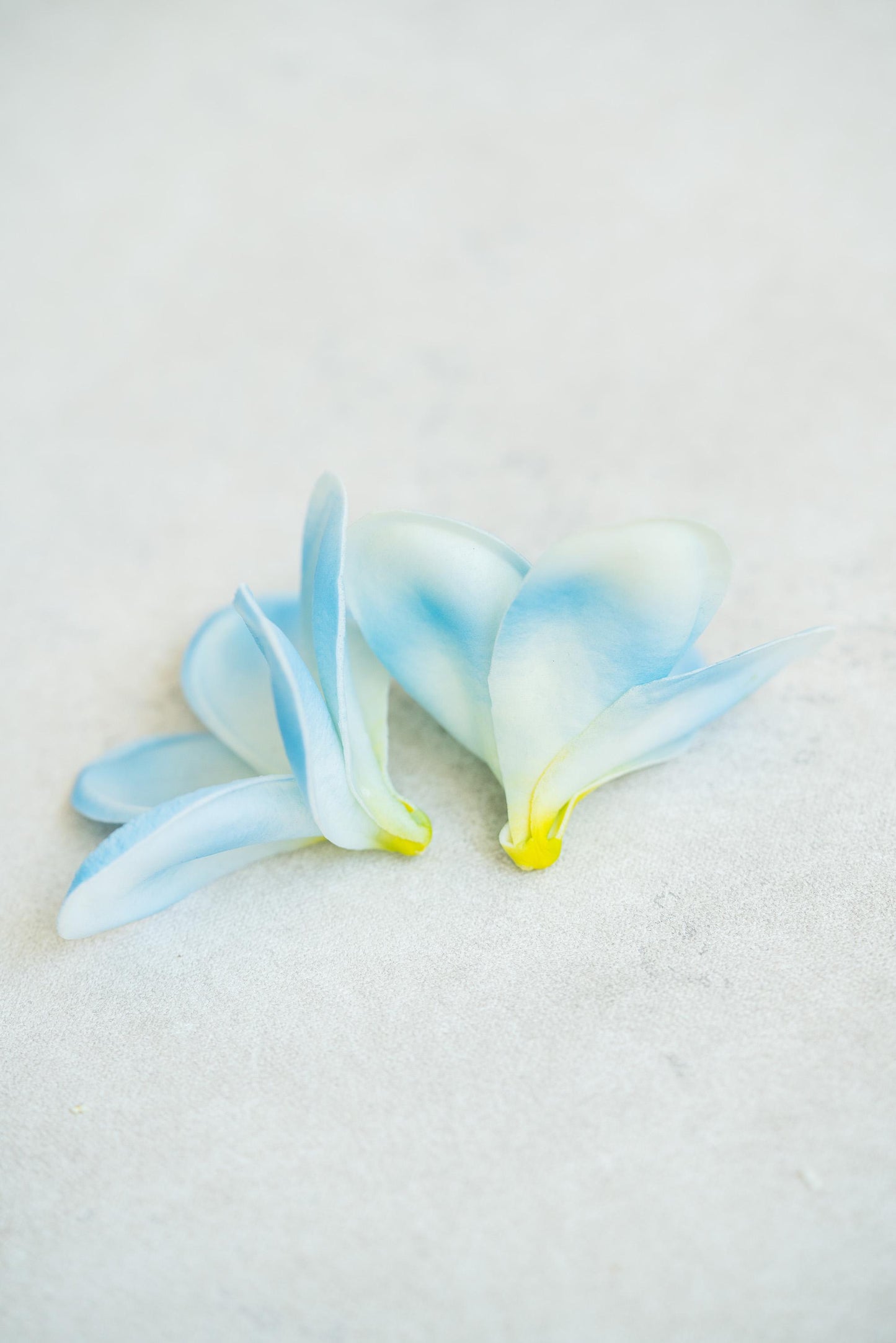 10 PCS Real Touch Sky Blue Plumeria - DIY Flower Ornament Home Decor, Bathtub, Centerpiece, Headband, Aisle Decor, Wedding, Handmade Hairpin