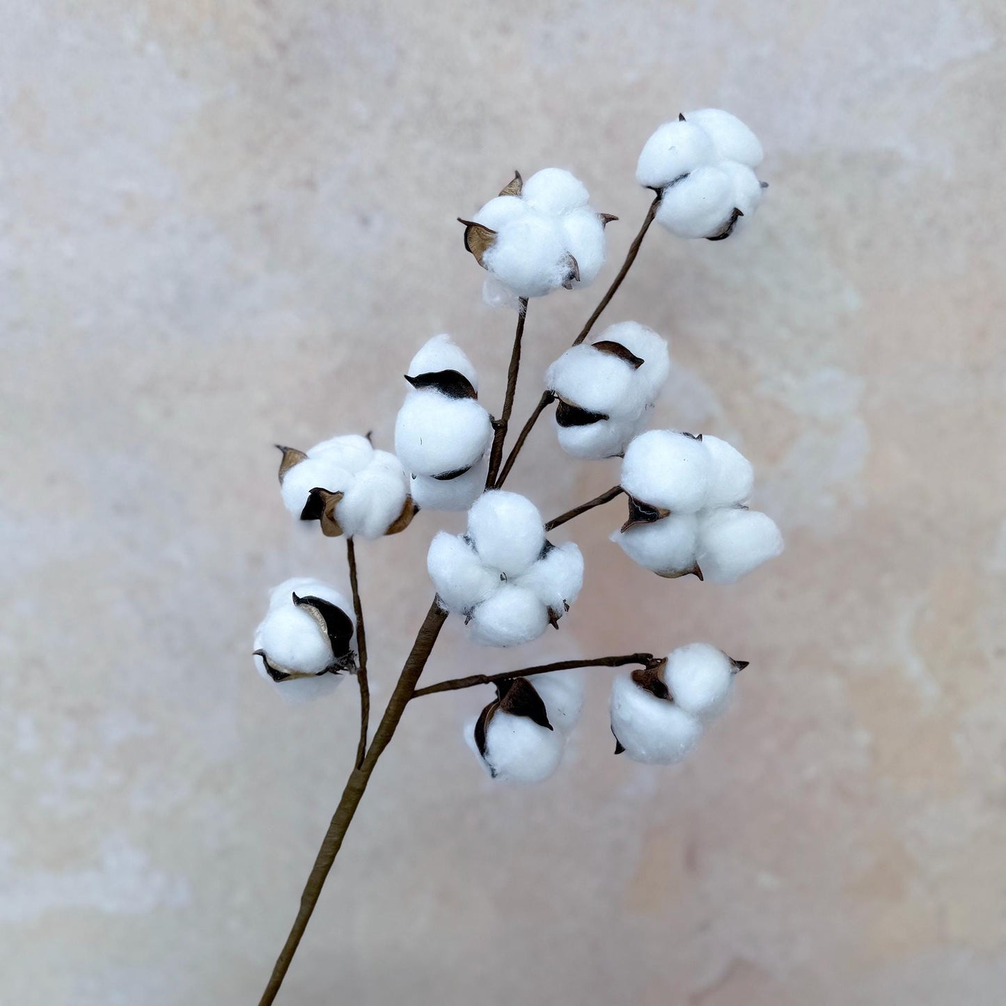 Long Cotton Branch - Rustic Cotton Branch, Home Gift, Home Decor, Harvest Festival, Farmhouse Decor, Table Arrangements, Country Style Swag