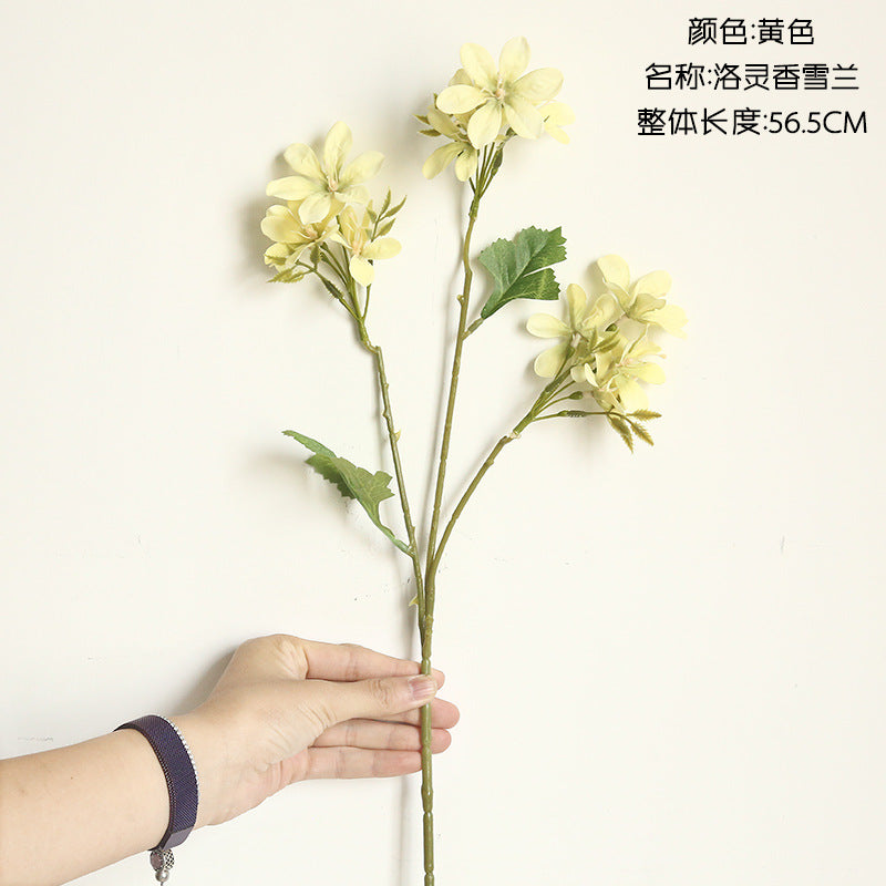 Dancing lady Orchid/Freesia orchaid/ best for Home Decoration Wedding Flower Road Guide Flower Wall  MW66772