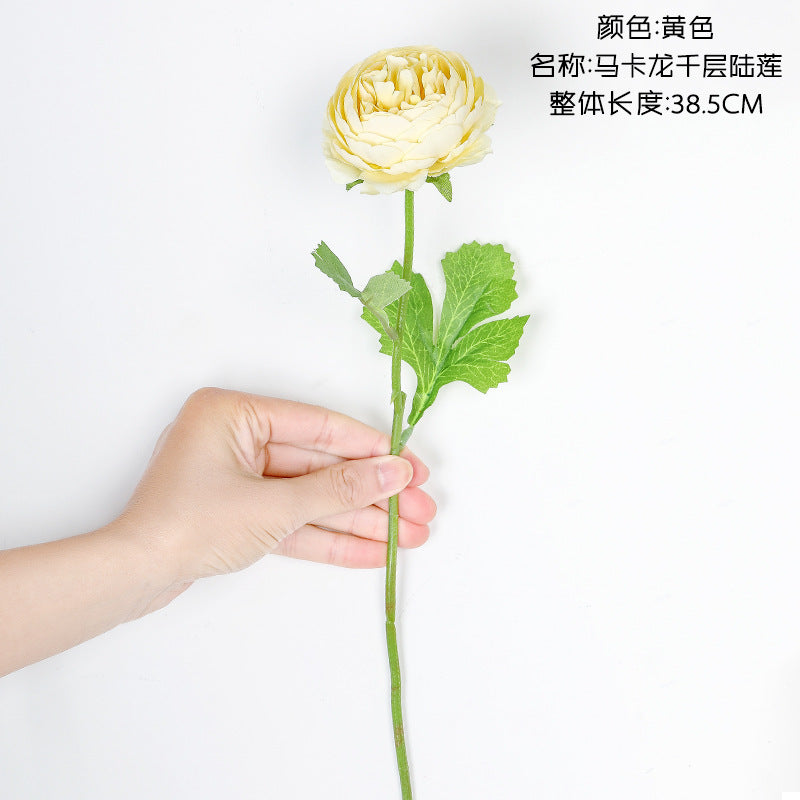 INS Macaron Rose/macaron rosette/ best for  Home Decoration Wedding  Flower Road Leading Flower Wall MW66775