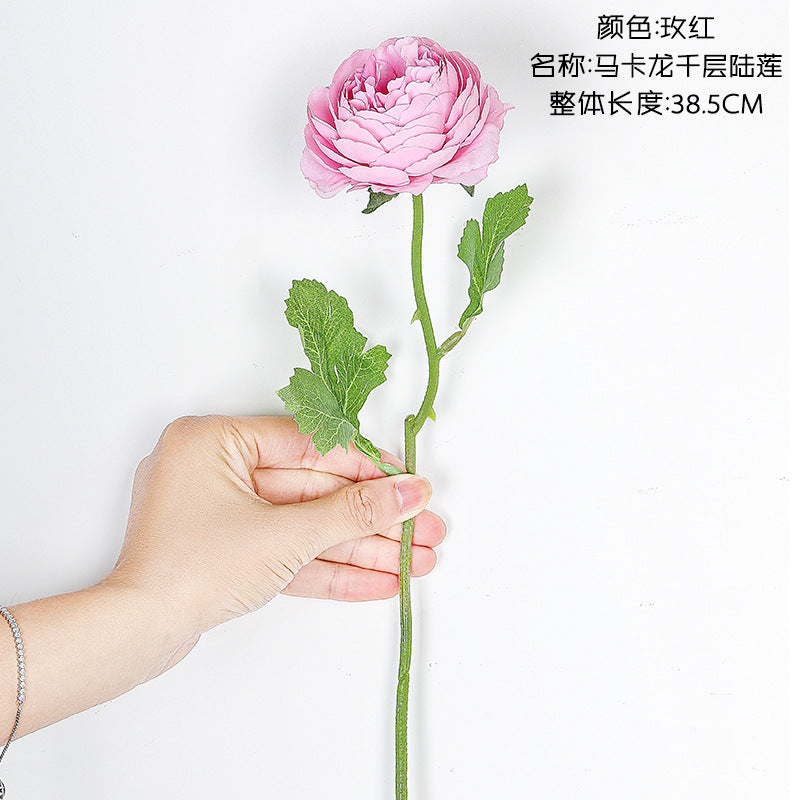 INS Macaron Rose/macaron rosette/ best for  Home Decoration Wedding  Flower Road Leading Flower Wall MW66775