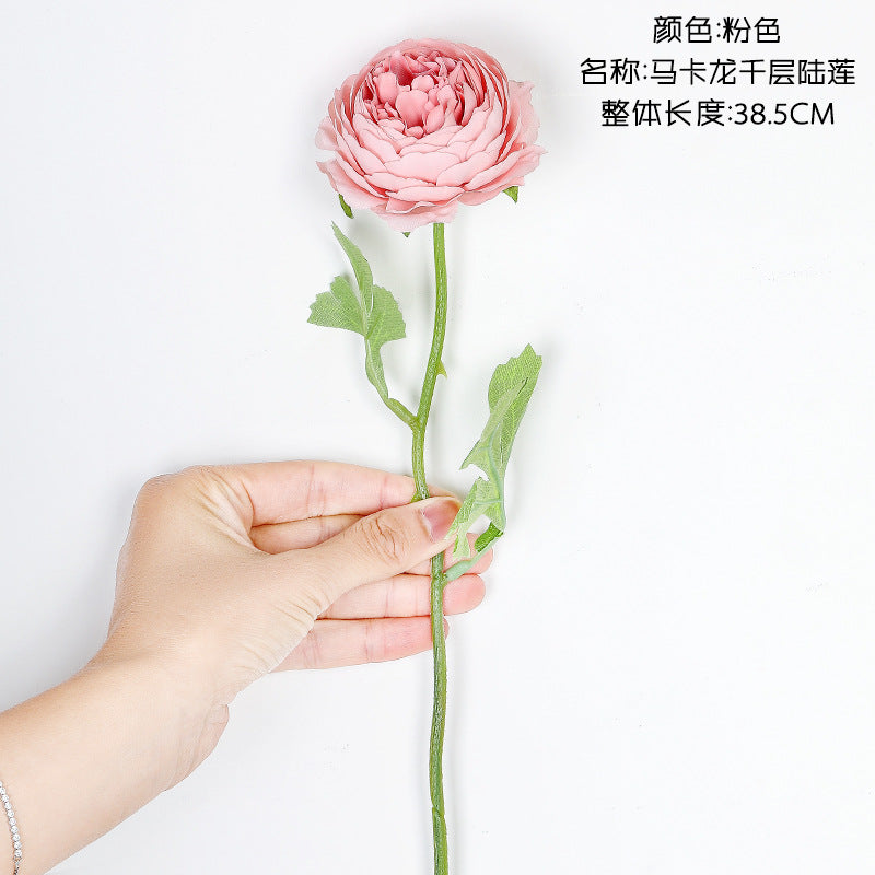 INS Macaron Rose/macaron rosette/ best for  Home Decoration Wedding  Flower Road Leading Flower Wall MW66775