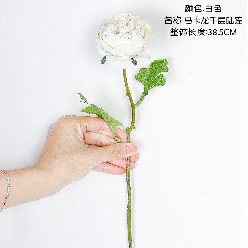 INS Macaron Rose/macaron rosette/ best for  Home Decoration Wedding  Flower Road Leading Flower Wall MW66775