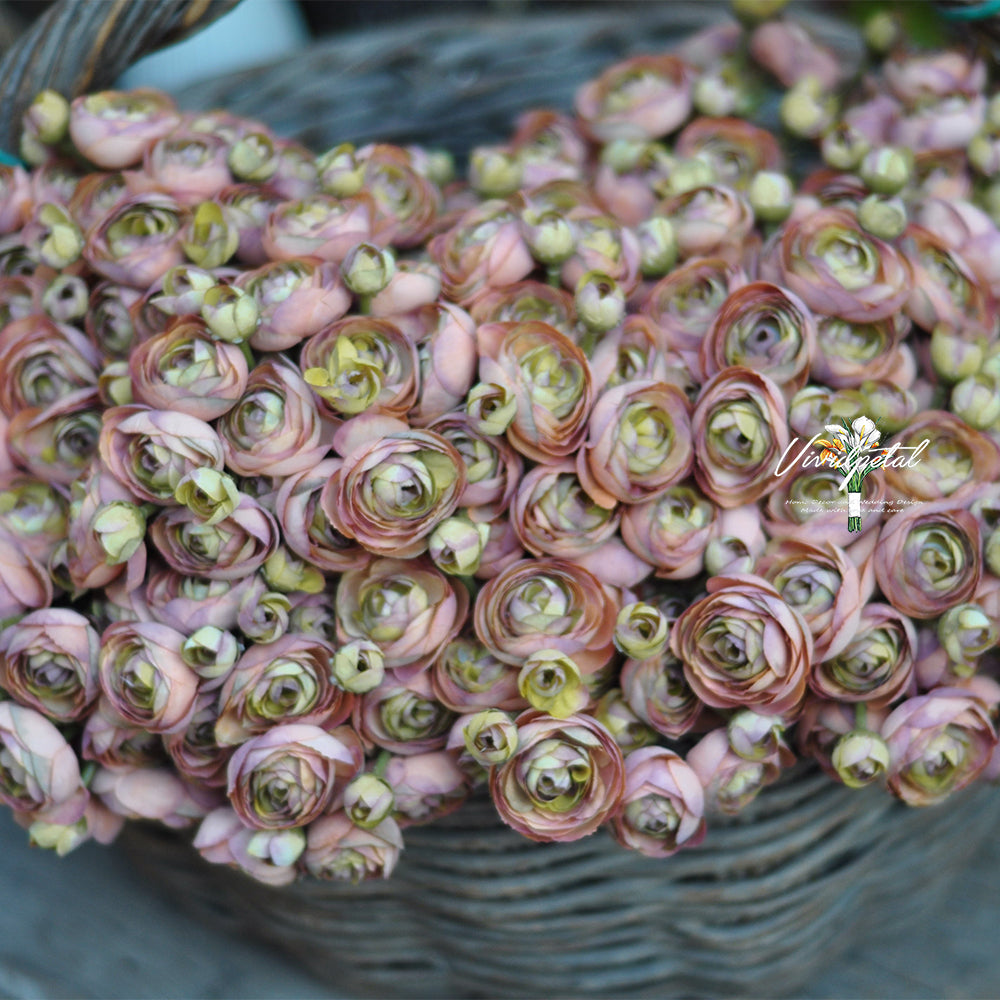 One bundle autumn coral  artificial silk rose/mini ranunculus/6stems individual stems silk ranunculus buds/best for home decoction and wedding designing