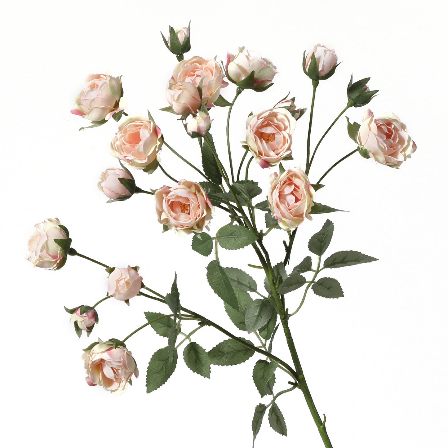 Silk rose branch/mini Austin rose branch/ multi-head small rose home decoration fake flowers silk flower wholesale.