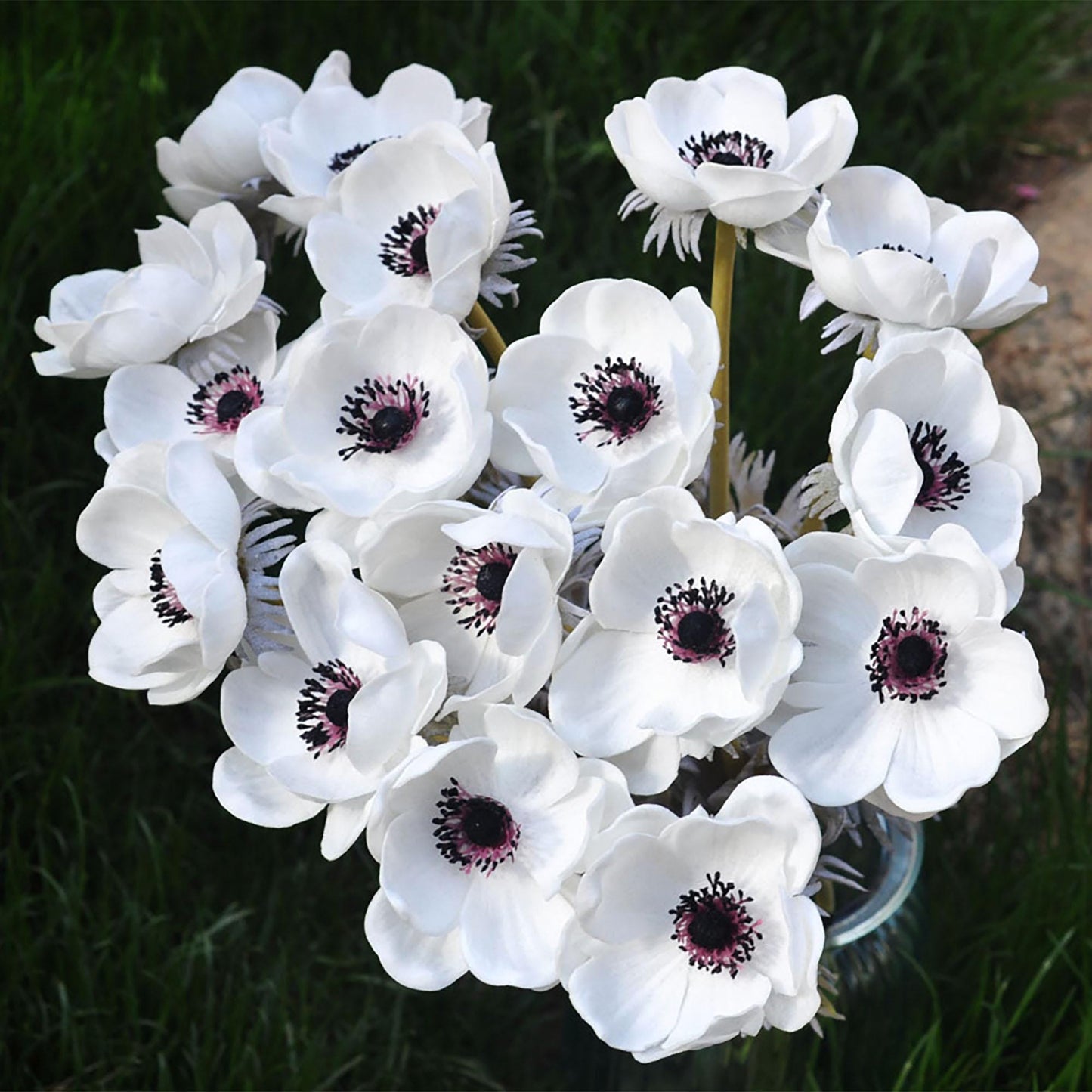 White Anemones,Real Touch White Anemones,Navy Blue Anemones,Anemones Bouquet,Faux Anemones DIY Flowers Gift For Wedding Bouquet,Home Decor