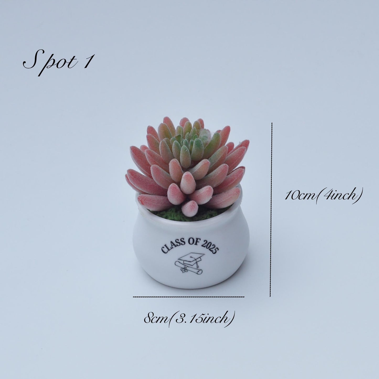 Artificial Succulent Plants, Best Gift For Her, Mother's Day Gift, Graduation Gift For Home Decor, Bathroom Balcony Decor, Congrats Gift