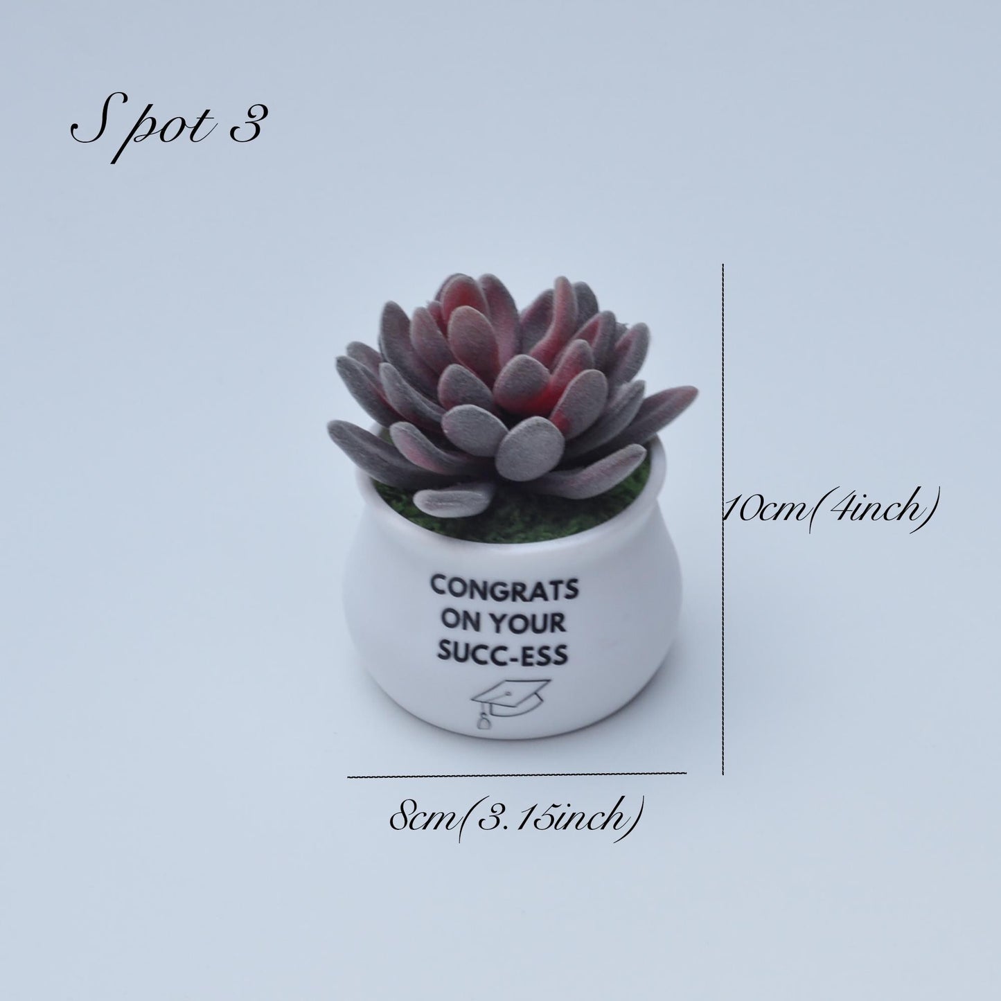 Artificial Succulent Plants, Best Gift For Her, Mother's Day Gift, Graduation Gift For Home Decor, Bathroom Balcony Decor, Congrats Gift