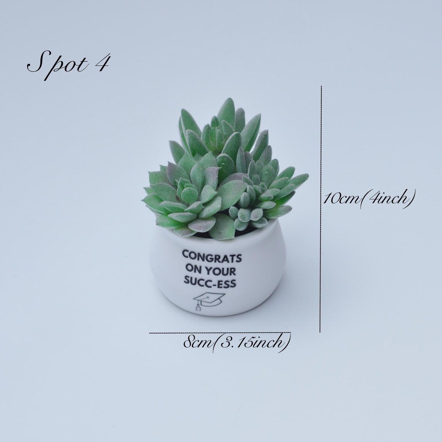 Artificial Succulent Plants, Best Gift For Her, Mother's Day Gift, Graduation Gift For Home Decor, Bathroom Balcony Decor, Congrats Gift