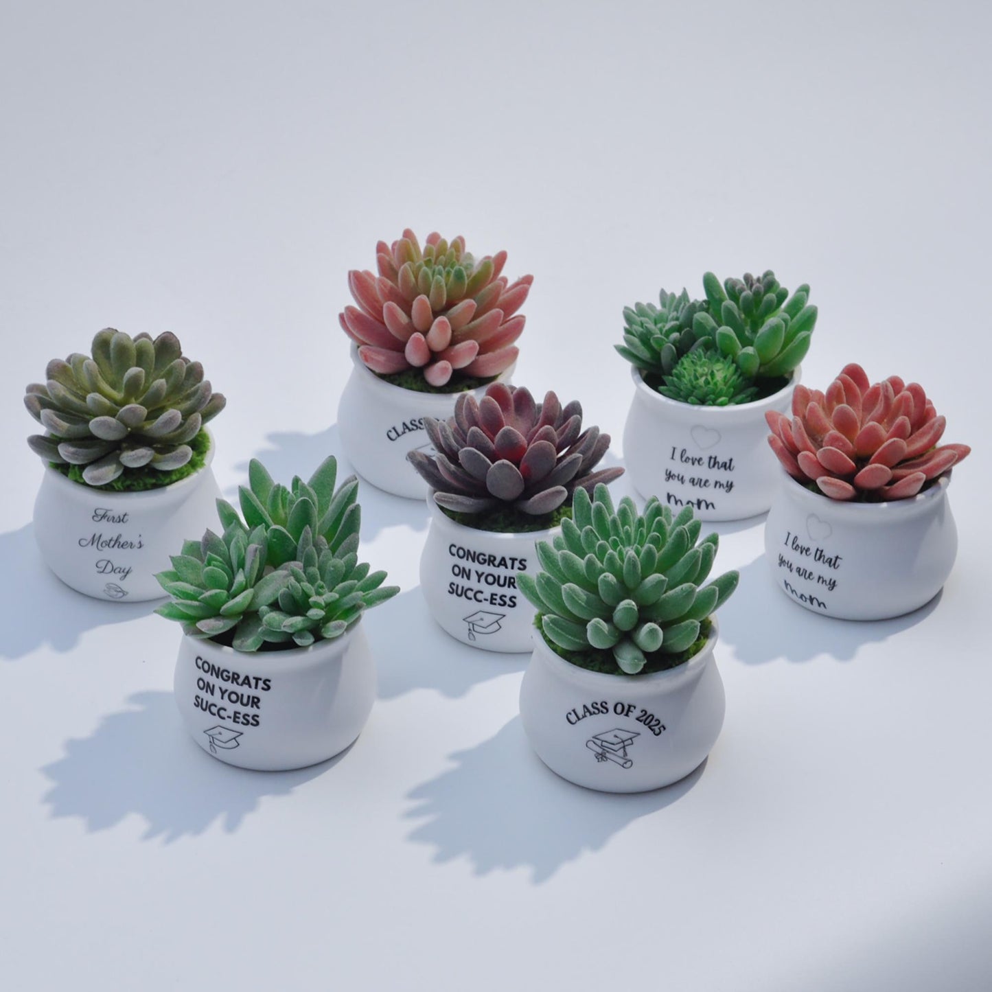 Artificial Succulent Plants, Best Gift For Her, Mother's Day Gift, Graduation Gift For Home Decor, Bathroom Balcony Decor, Congrats Gift