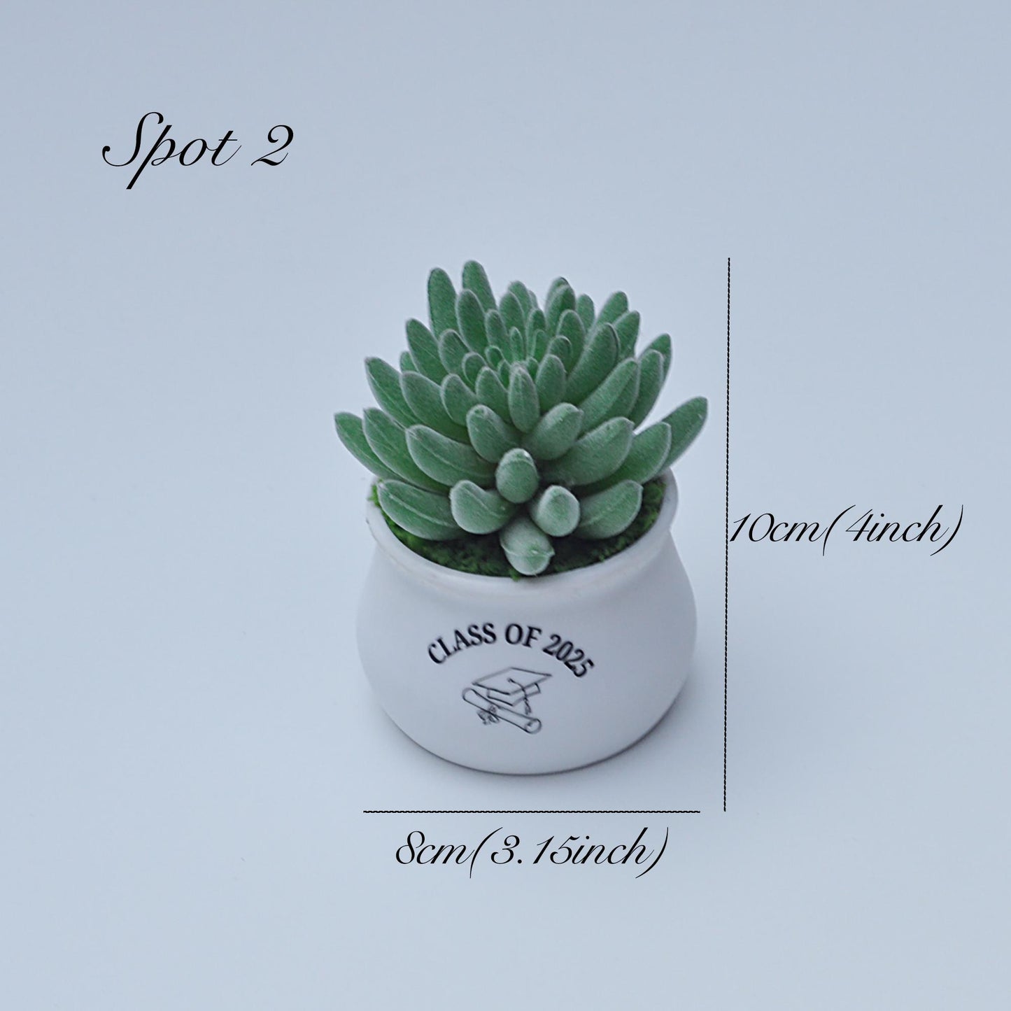 Artificial Succulent Plants, Best Gift For Her, Mother's Day Gift, Graduation Gift For Home Decor, Bathroom Balcony Decor, Congrats Gift