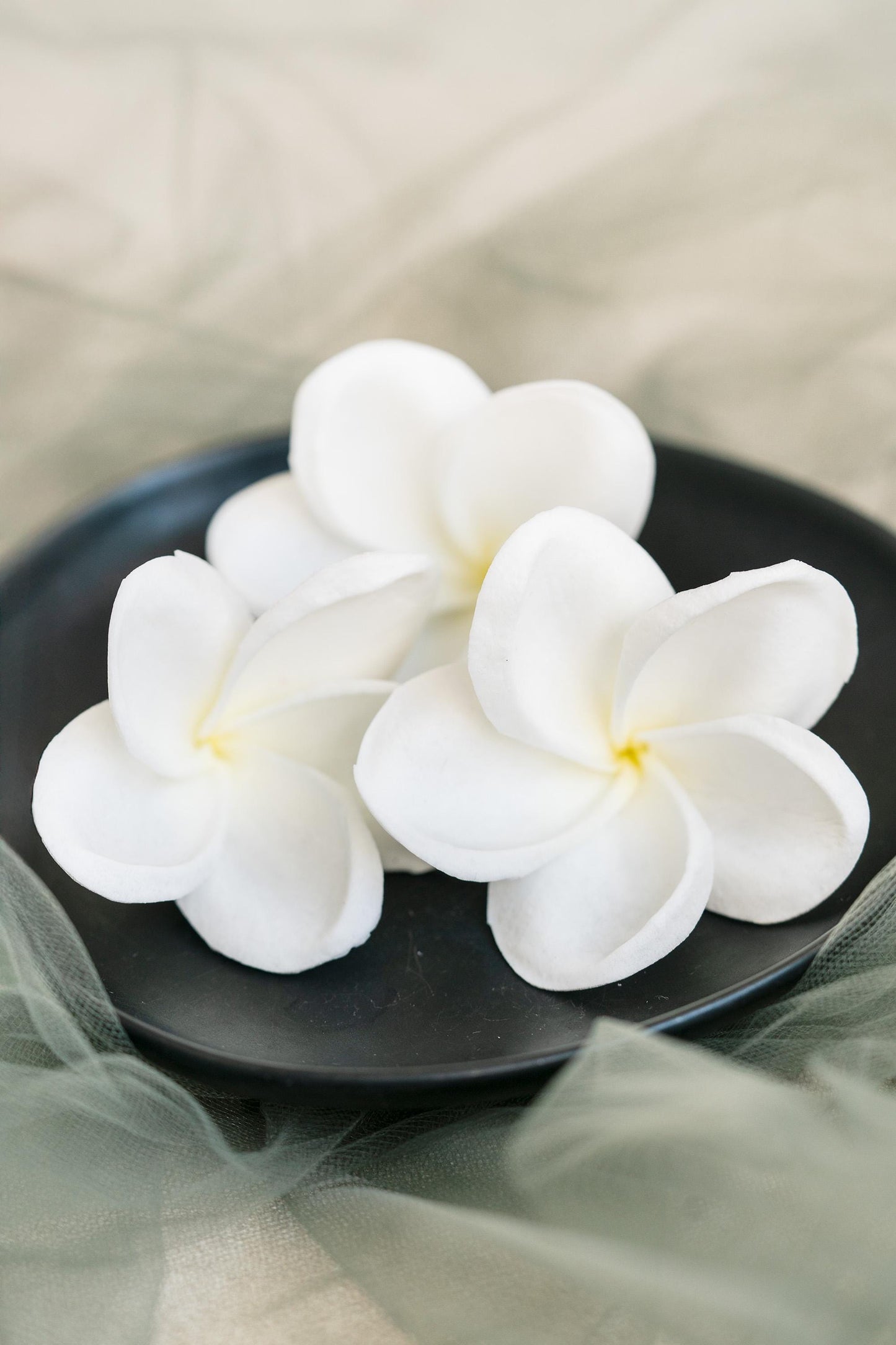 10 PCS Real Touch White Plumeria - DIY Flower Ornament Home Decor, Bathtub, Centerpiece, Headband, Aisle Decor, Wedding, Handmade Hairpin