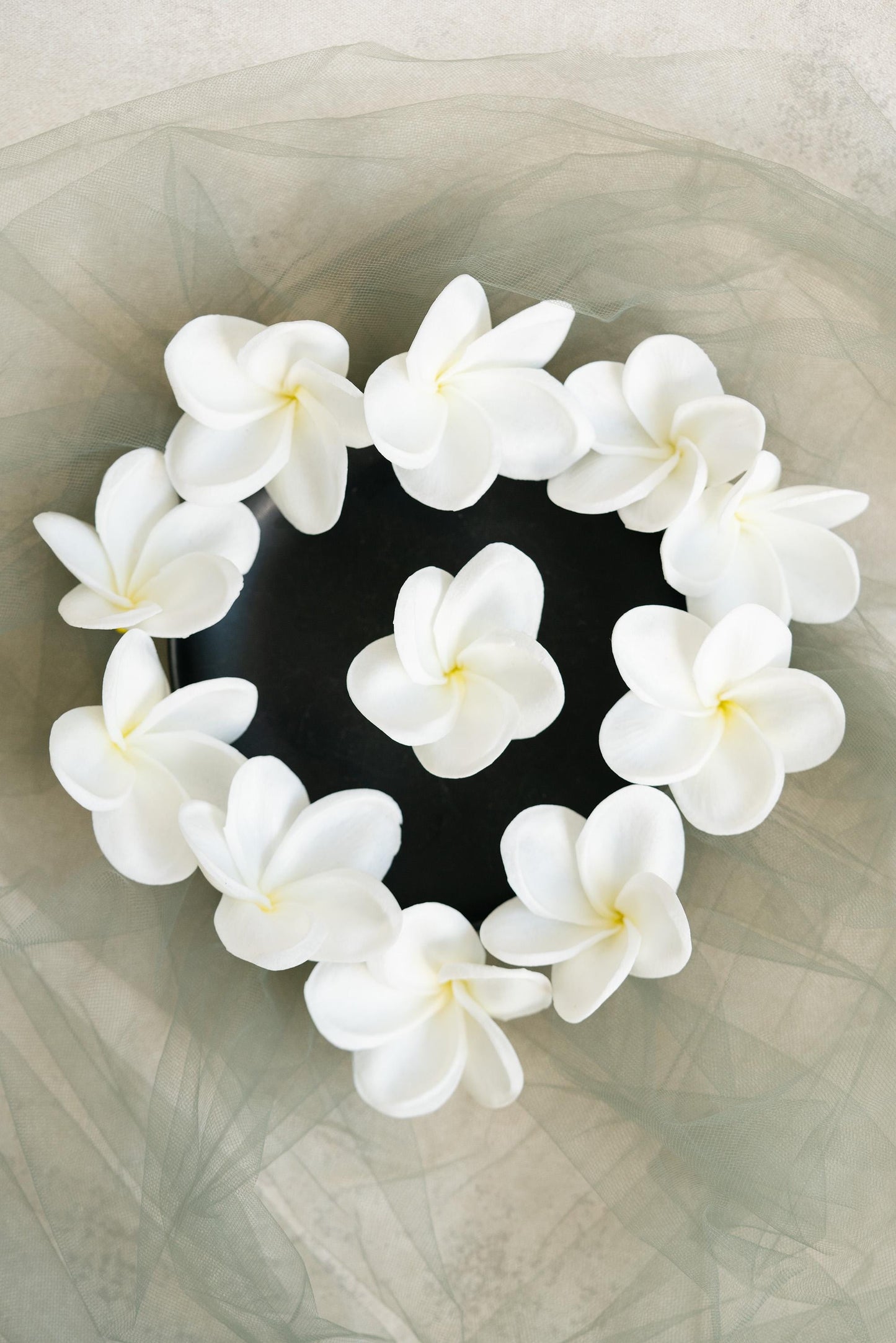 10 PCS Real Touch White Plumeria - DIY Flower Ornament Home Decor, Bathtub, Centerpiece, Headband, Aisle Decor, Wedding, Handmade Hairpin
