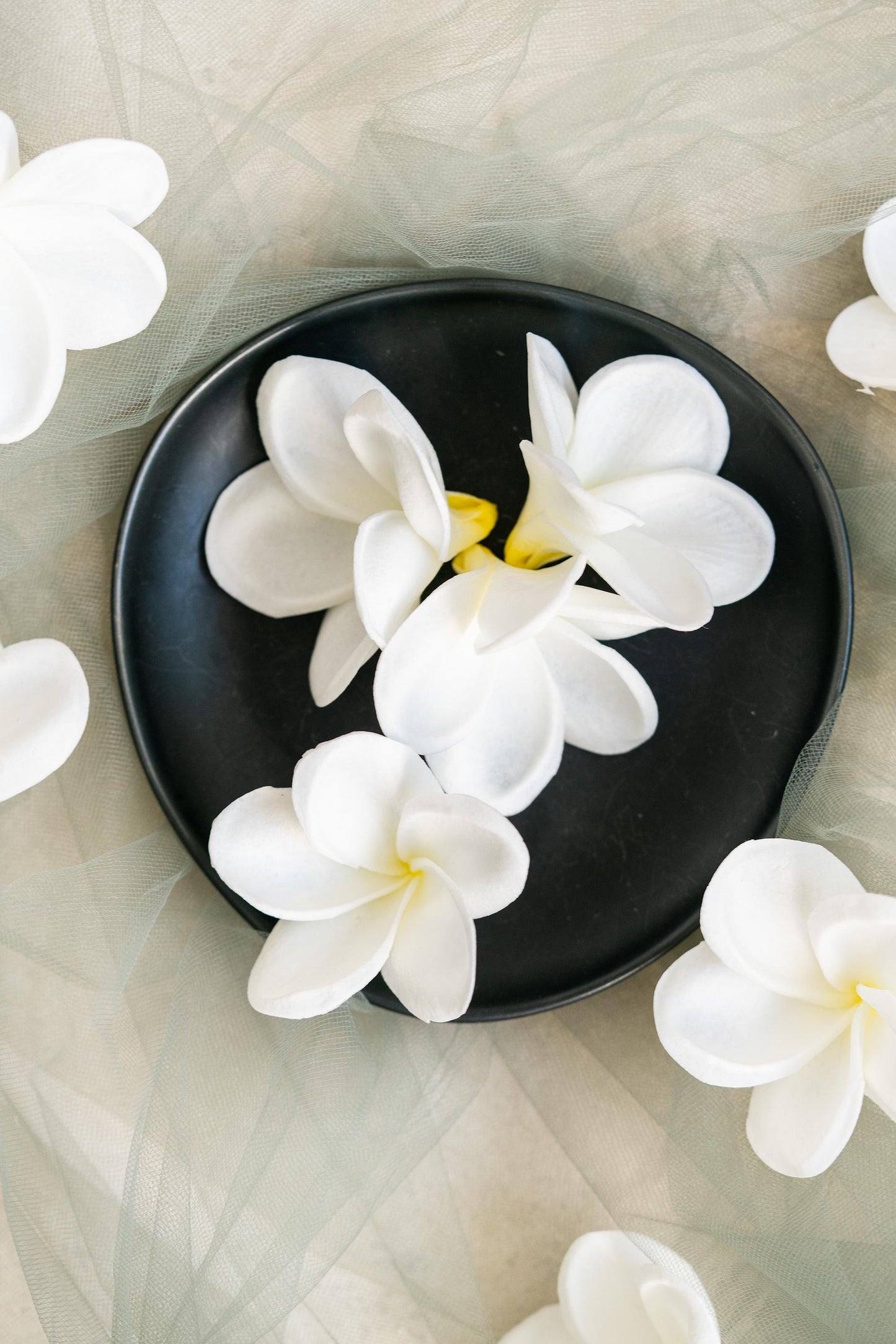 10 PCS Real Touch White Plumeria - DIY Flower Ornament Home Decor, Bathtub, Centerpiece, Headband, Aisle Decor, Wedding, Handmade Hairpin