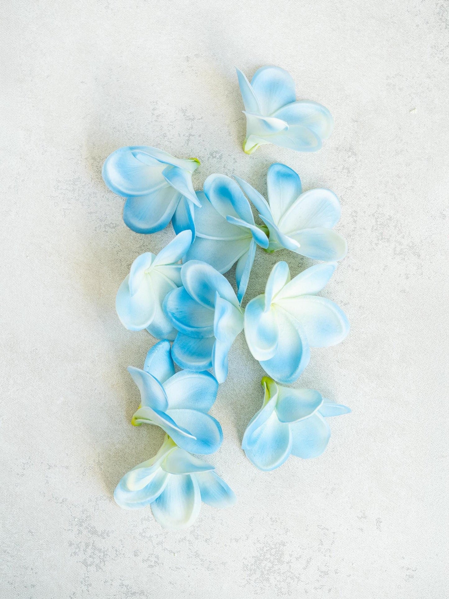 10 PCS Real Touch Sky Blue Plumeria - DIY Flower Ornament Home Decor, Bathtub, Centerpiece, Headband, Aisle Decor, Wedding, Handmade Hairpin