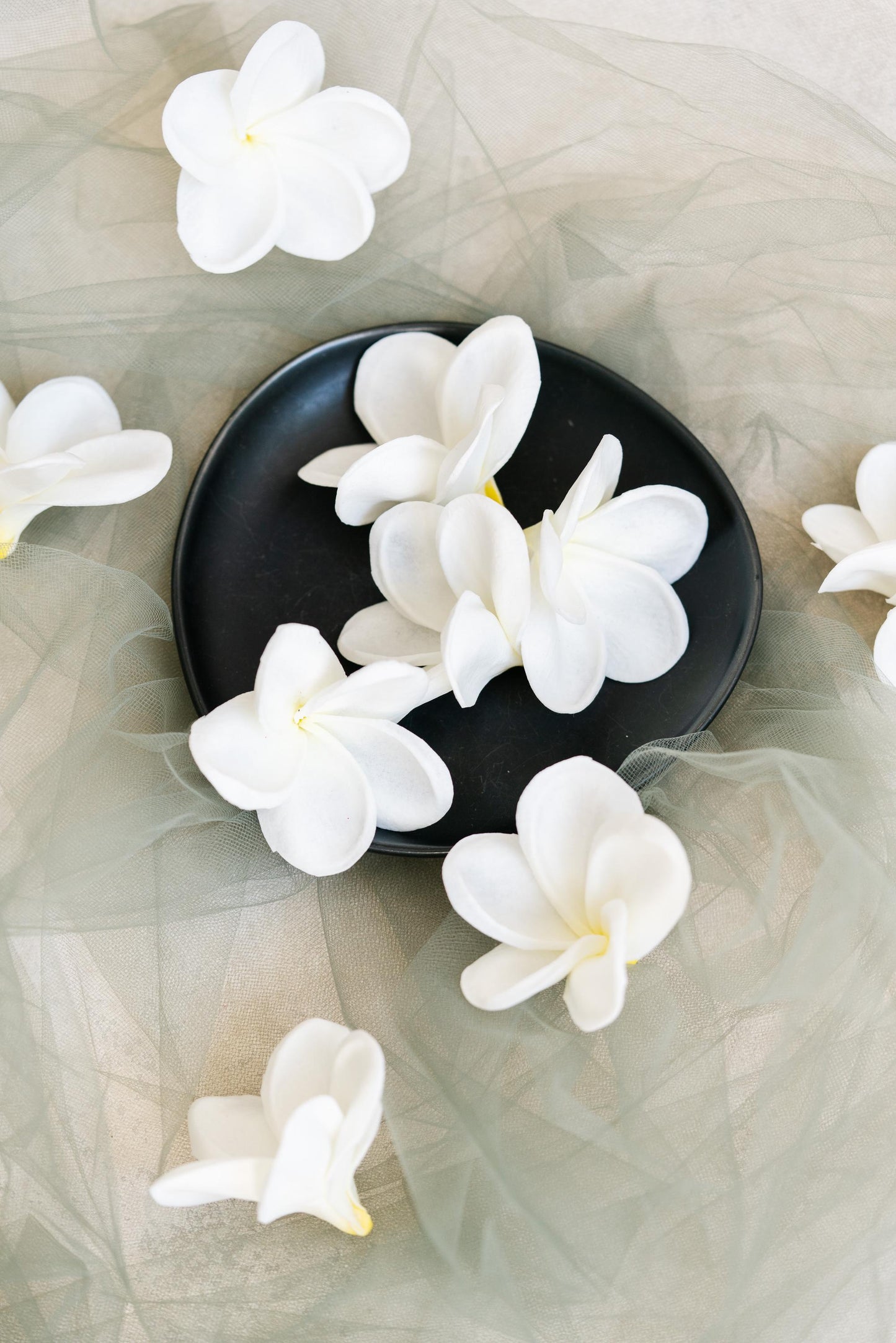 10 PCS Real Touch White Plumeria - DIY Flower Ornament Home Decor, Bathtub, Centerpiece, Headband, Aisle Decor, Wedding, Handmade Hairpin