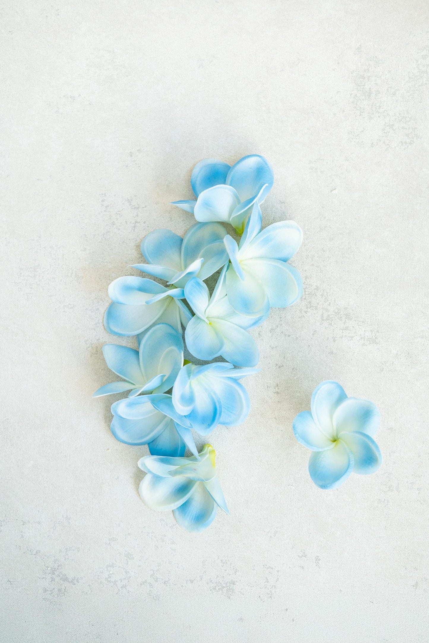 10 PCS Real Touch Sky Blue Plumeria - DIY Flower Ornament Home Decor, Bathtub, Centerpiece, Headband, Aisle Decor, Wedding, Handmade Hairpin