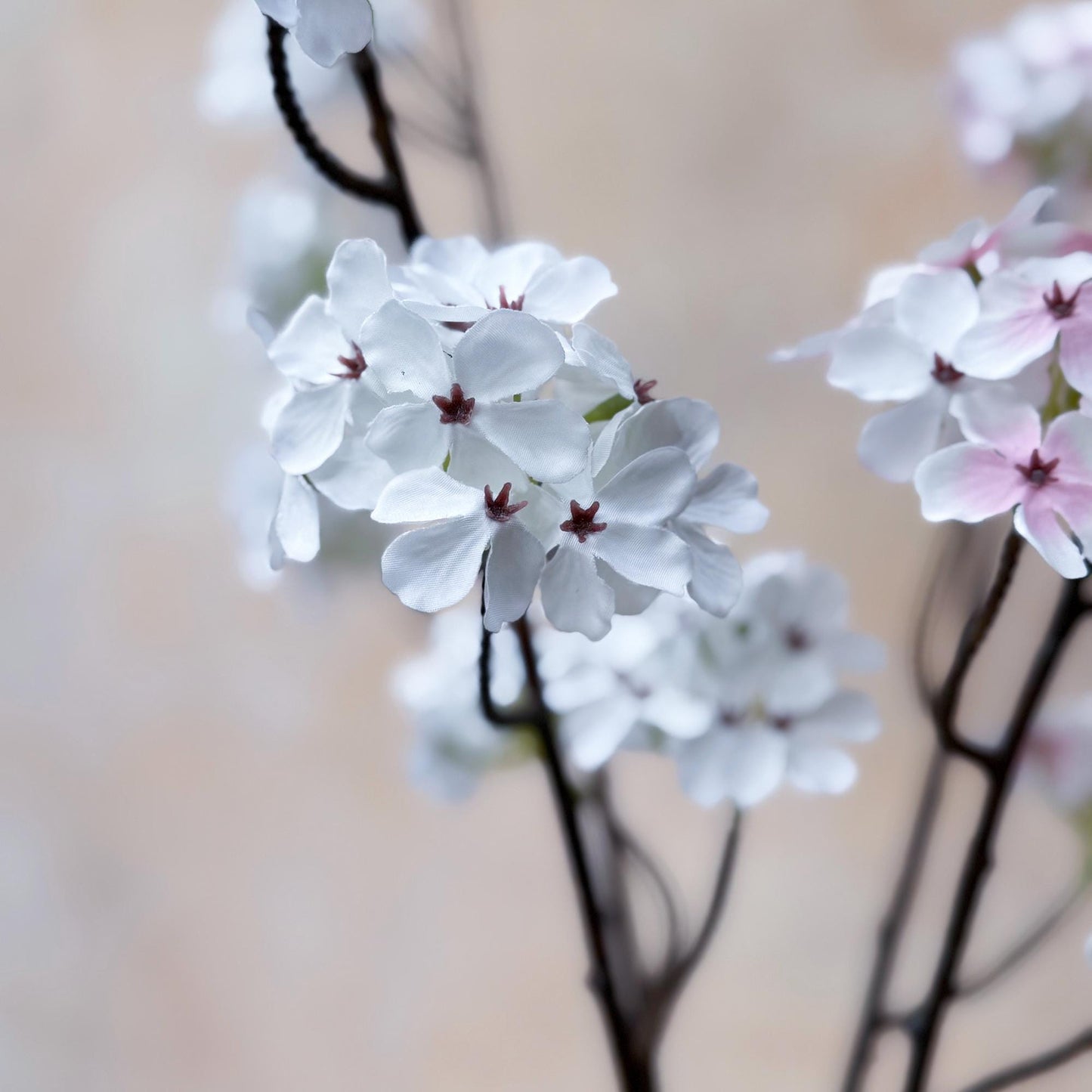 Long Summer Pear Blossom Branch, White Plum Blossom Stem for Home Decor, Window Display, DIY Work, Table Arrangements, Wedding Design Work