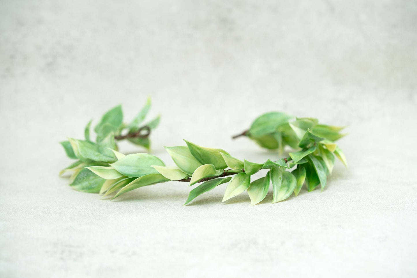 Rustic Wood Box Headband, Flower Girls Flower Crown, Bridesmaid Flower Crown, Gift for Her, Simple Jungle Wedding Tiara, Bridal Accessories