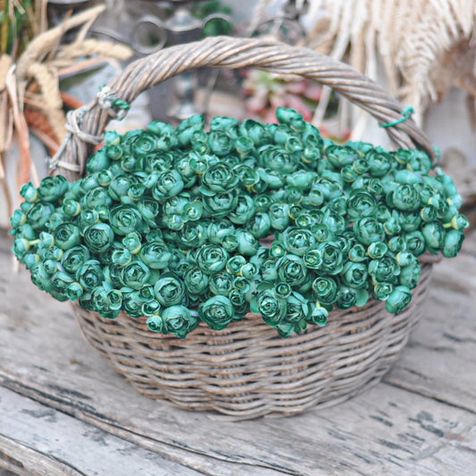 Vintage Green Rose Stems – Faux Flower Bundle Perfect For DIY Wedding Bouquet, Wreath, Silk Ranunculus Centerpiece, Crafts & Arrangements