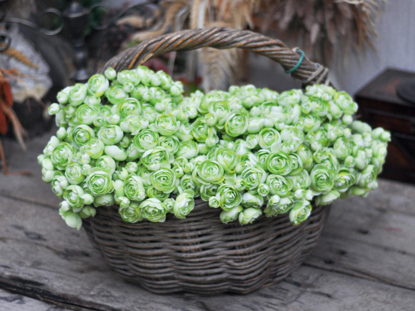 Spring Green Rose Stems – Faux Flower Bundle Perfect For DIY Wedding Bouquet, Wreath, Silk Ranunculus Centerpiece, Crafts & Arrangements