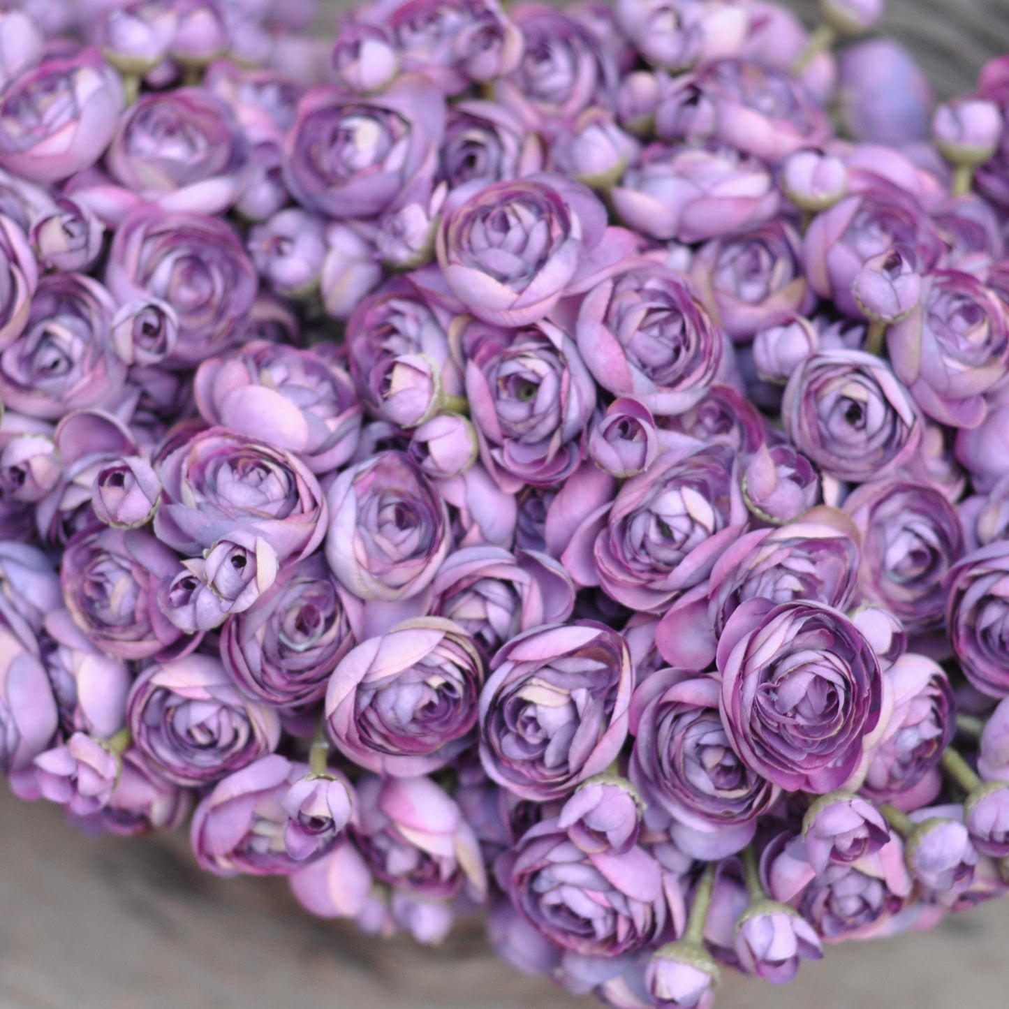 Royal Purple Rose Stems – Faux Flower Bundle Perfect For DIY Wedding Bouquet, Wreath, Silk Ranunculus Centerpiece, Crafts & Arrangements