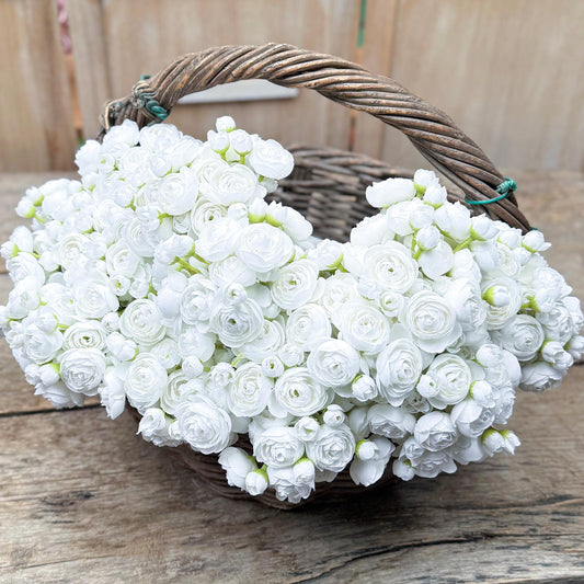 White Rose Stems – Faux Flower Bundle Perfect For DIY Wedding Bouquet, Wreath Design, Silk Ranunculus Centerpiece, Crafts & Arrangements